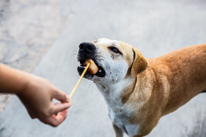 Lượng xúc xích bạn cho chó ăn còn phụ thuộc vào trọng lượng của chó.