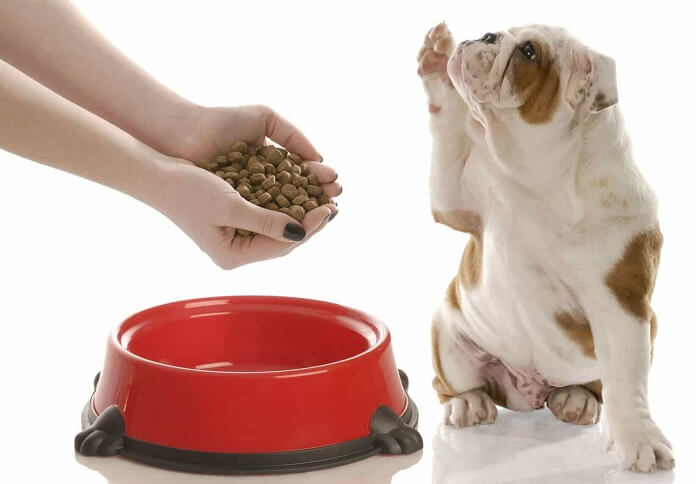 Việc điều trị chó bị ngộ độc socola phụ thuộc vào lượng socola chó đã tiêu thụ và loại socola